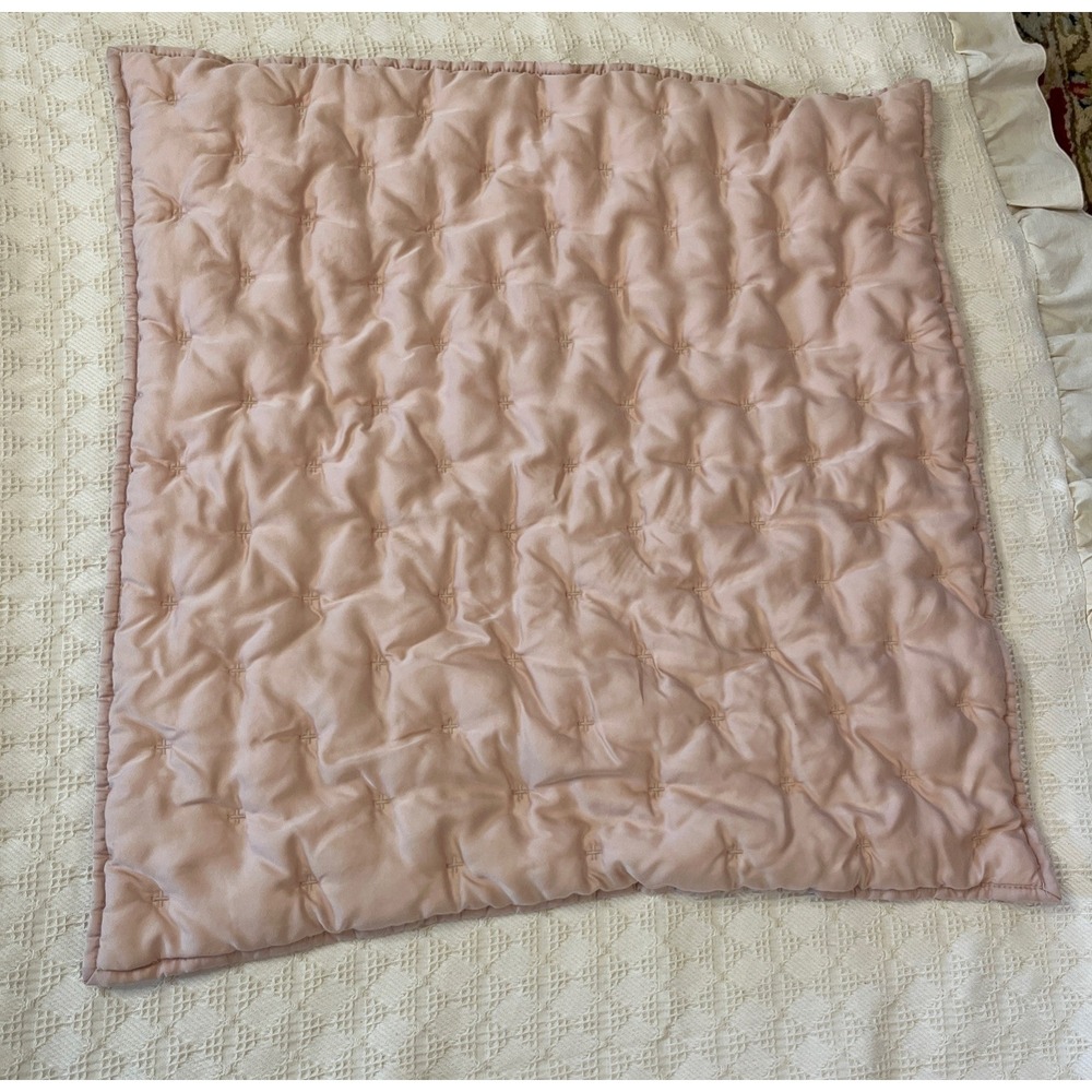 Pottery Barn Teen Kids Amelia Tencel Quilt Square Stand Dusty Rose Sham 1 Single
